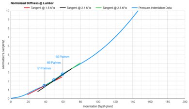 WinkBeds The WinkBed Lumbar Firmness