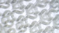 Qiaodan Feiying Plaid 3.0 Upper Microscope Photo