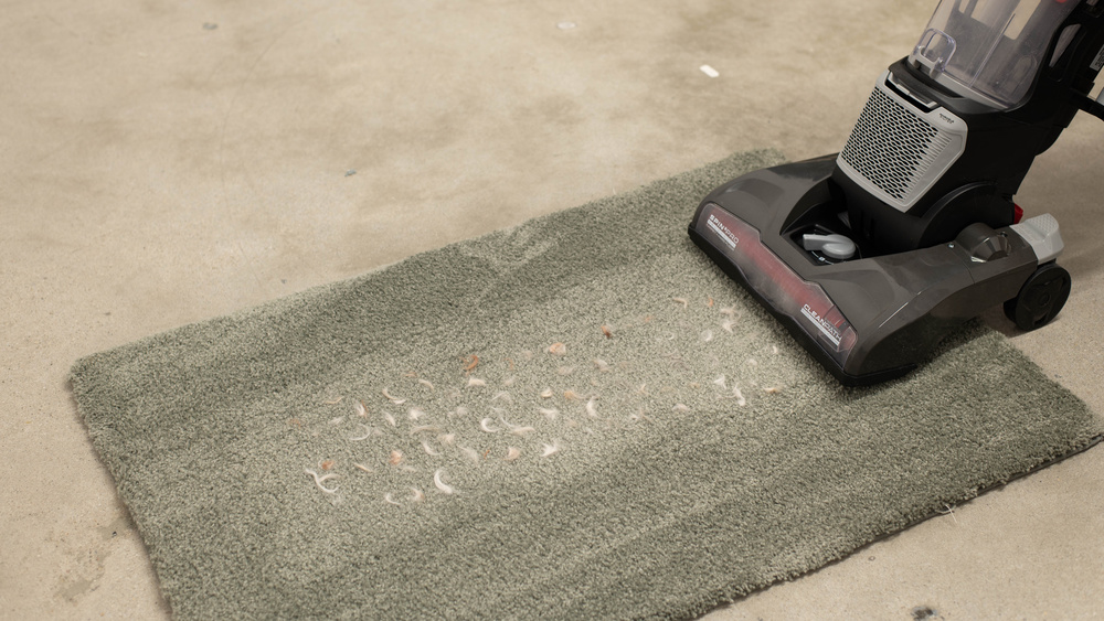 Dirt Devil Endura Max Review