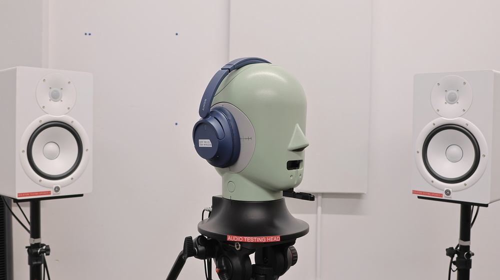 perceptual testing image