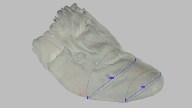 PUMA Fast-R NITRO Elite 3 Forefoot Width Photo