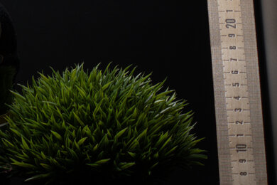 Canon EOS M200 Sharpness Scene Crop