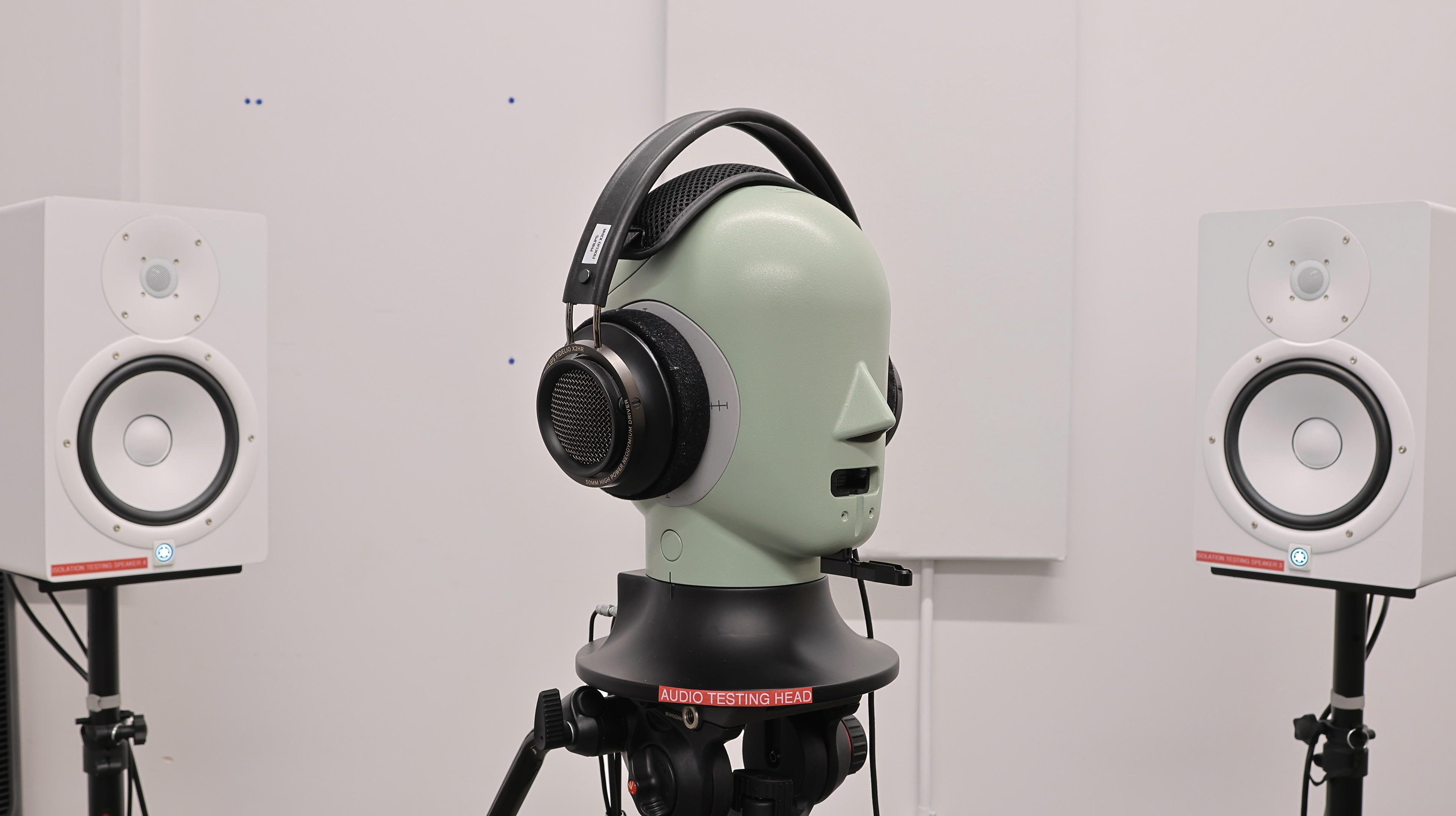 perceptual testing image