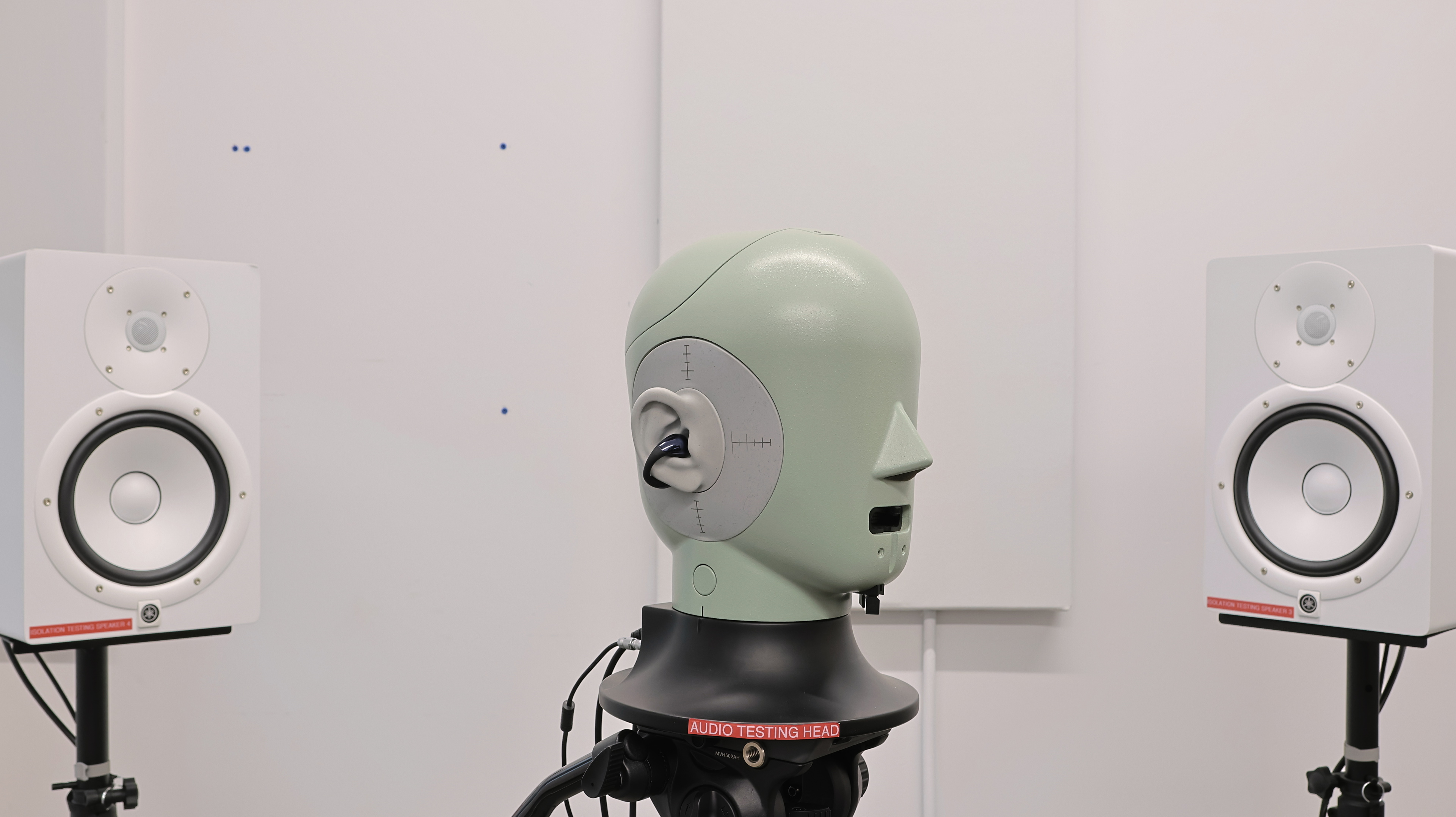 perceptual testing image