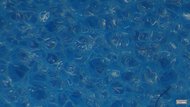 Speedland RX:PNW Secondary Foam Picture
