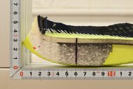 Saucony Endorphin Pro 4 Heel Rocker Photo