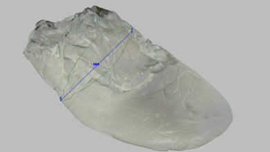 New Balance Fresh Foam X 860v15 Arch Fit Photo
