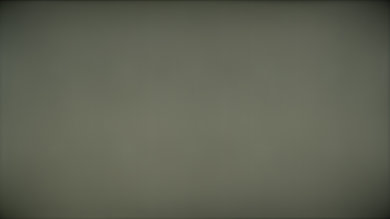 Sony W600D Image Retention Picture