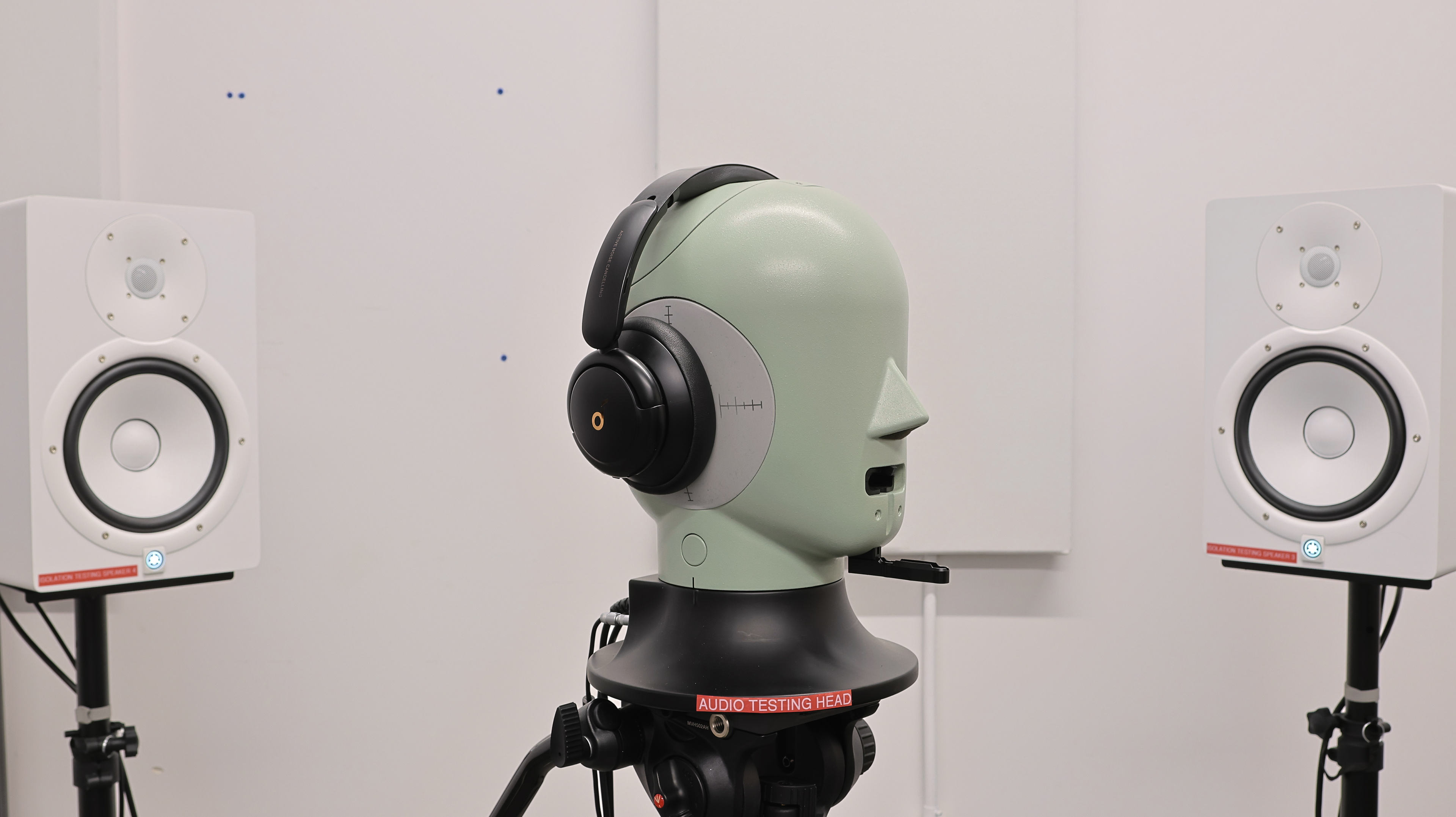 perceptual testing image