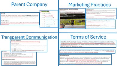 Mullvad Company Picture