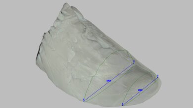 Kiprun Kipstorm Tempo Forefoot Width Photo