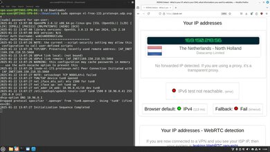 Proton VPN Free Headless OpenVPN Connection Screenshot