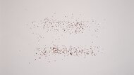 Smeg 4-Slice Toaster Crumb Management Photo