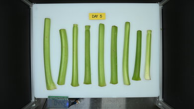 GE GSS25GYPFS Produce Picture (After)