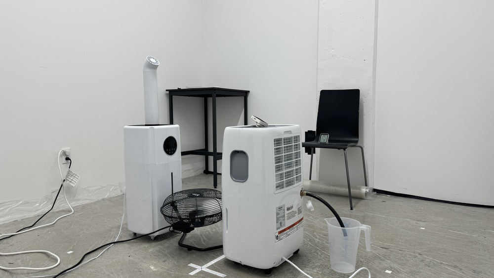 perceptual testing image