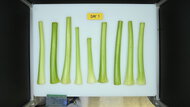 Frigidaire GRFS2853AD Produce Picture (Before)