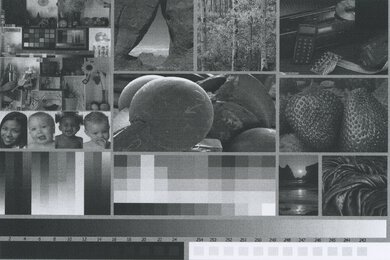 Brother HL-L2390DW/HL-L2395DW Side By Side Print/Photo