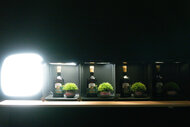 Sony RX10 V Dynamic Range Scene