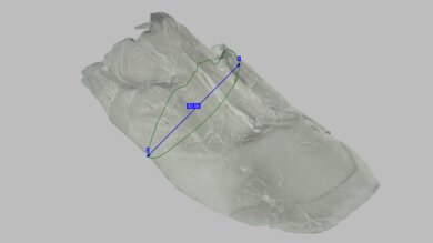 Salomon Aero Glide 3 Arch Fit Photo