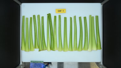 Whirlpool WRT311FZDW Produce Picture (Before)