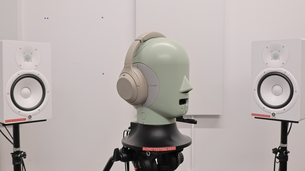 perceptual testing image