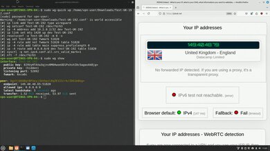 Proton VPN Headless WireGuard Connection Screenshot