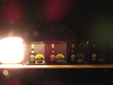 Nikon COOLPIX P1000 Dynamic Range Scene