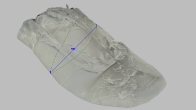 Mizuno Wave Rider 29 Arch Fit Photo