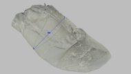 Mizuno Wave Rider 29 Arch Fit Photo