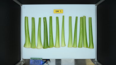 Samsung Bespoke RF24BB6600QL Produce Picture (Before)