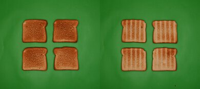 Typhur Sync Oven Unprocessed Toast Picture