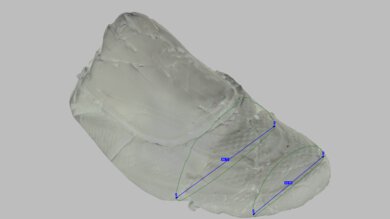 New Balance 1080v15 Forefoot Width Photo