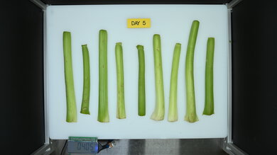 Maytag MRT311FFFE Produce Picture (After)