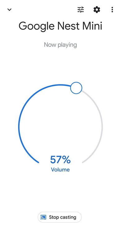 Google Nest Mini (2nd Gen) App Picture