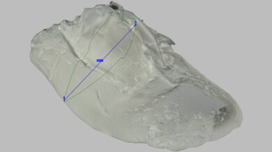 Nike Revolution 8 Arch Fit Photo