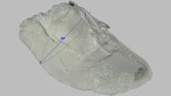 Nike Revolution 8 Arch Fit Photo