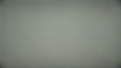 Sony X800G 50% Uniformity Picture