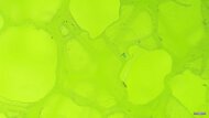 Brooks Glycerin Max 2 Primary Foam Picture