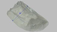 Brooks Adrenaline GTS 24 Arch Fit Photo