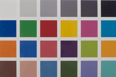 Canon PIXMA TR8520 Color dE Picture