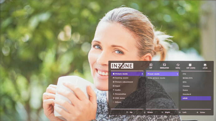 Sony INZONE M9 II OSD Picture