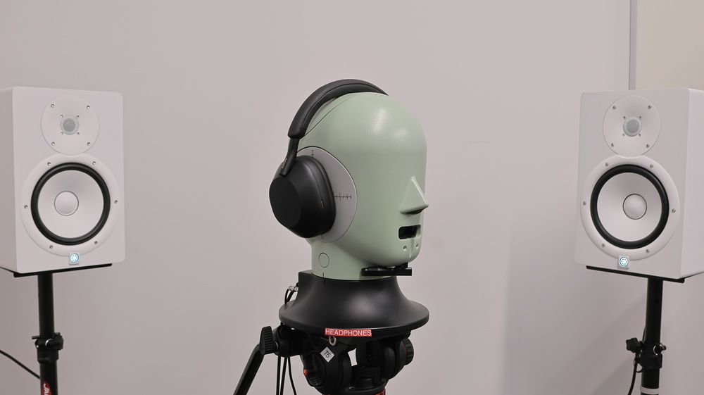 perceptual testing image