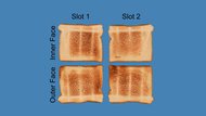 bella basics 2-Slice Toasting Evenness Photo