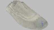 Mizuno Wave Inspire 22 Forefoot Height Photo