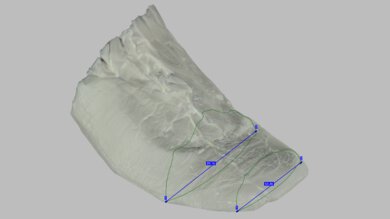 Saucony Endorphin Elite 2 Forefoot Width Photo