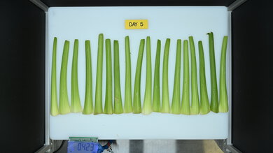 Whirlpool WRT311FZDW Produce Picture (After)