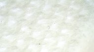 Mizuno Sky Prime Upper Microscope Photo