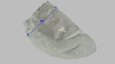 adidas Adizero Evo SL Arch Fit Photo