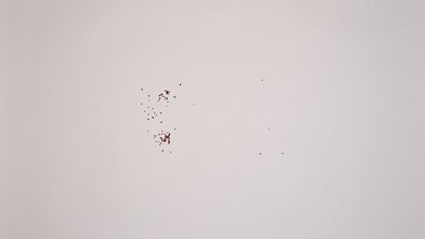 bella basics 2-Slice Crumb Management Photo