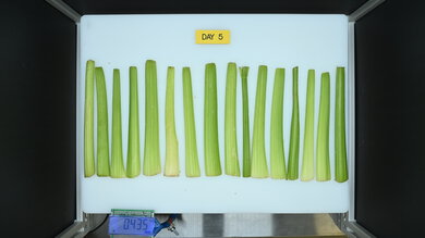 Whirlpool WRS321SDHZ Produce Picture (After)